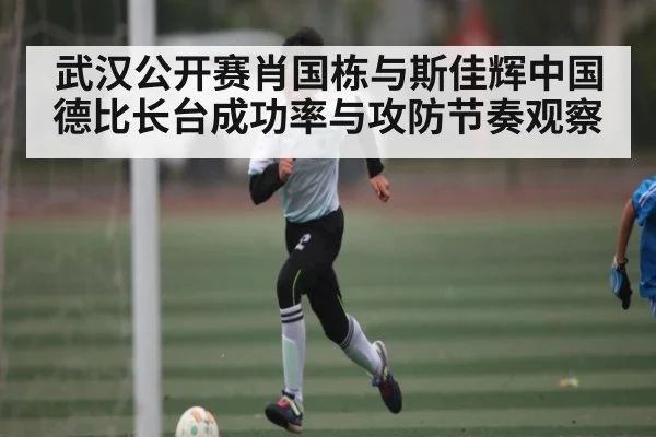 武汉公开赛肖国栋与斯佳辉中国德比长台成功率与攻防节奏观察